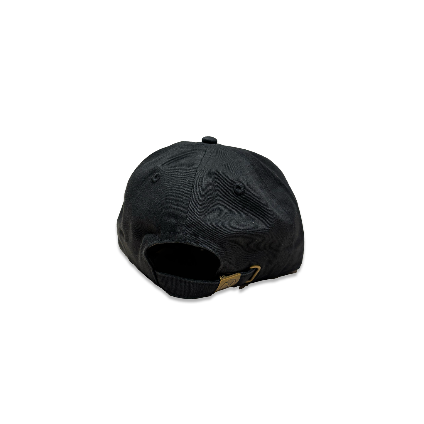 Cap 2 / BLACK