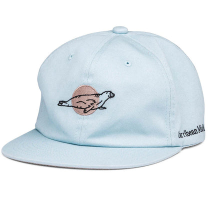 NOCS EXTINCT CREATURE SIX PANEL CAP / CarribeanMonkSeal