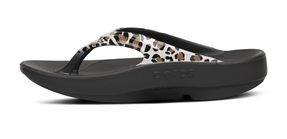 OOlala Limited / -Leopard2