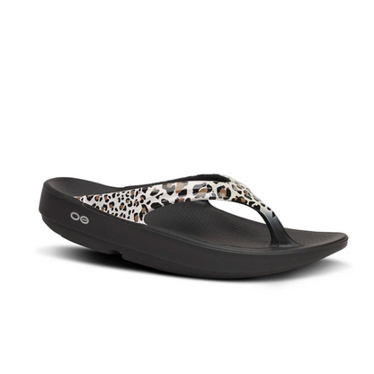 OOlala Limited / -Leopard2