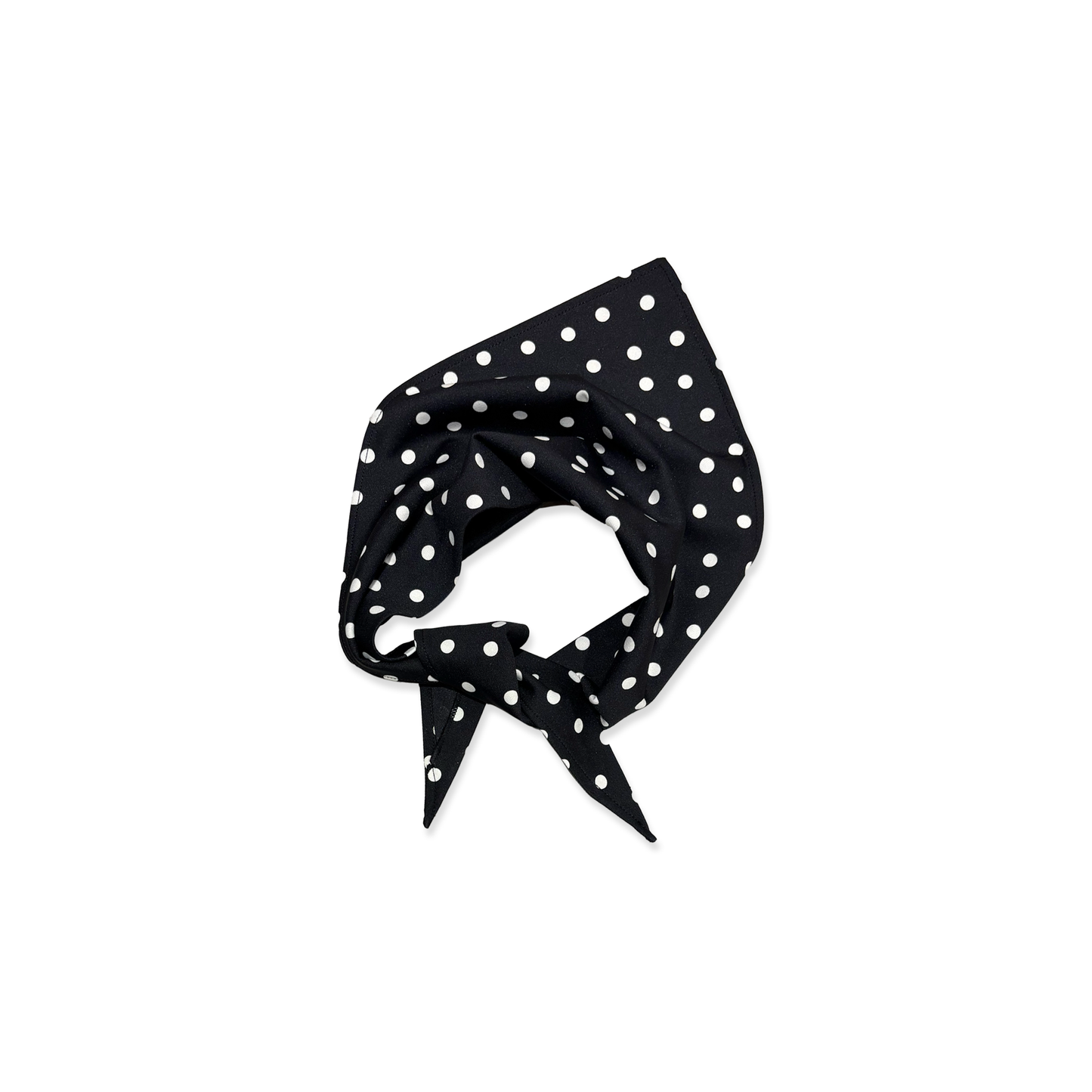 DOTS
