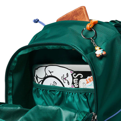 ELQUI 24L BACKPACK / Kale