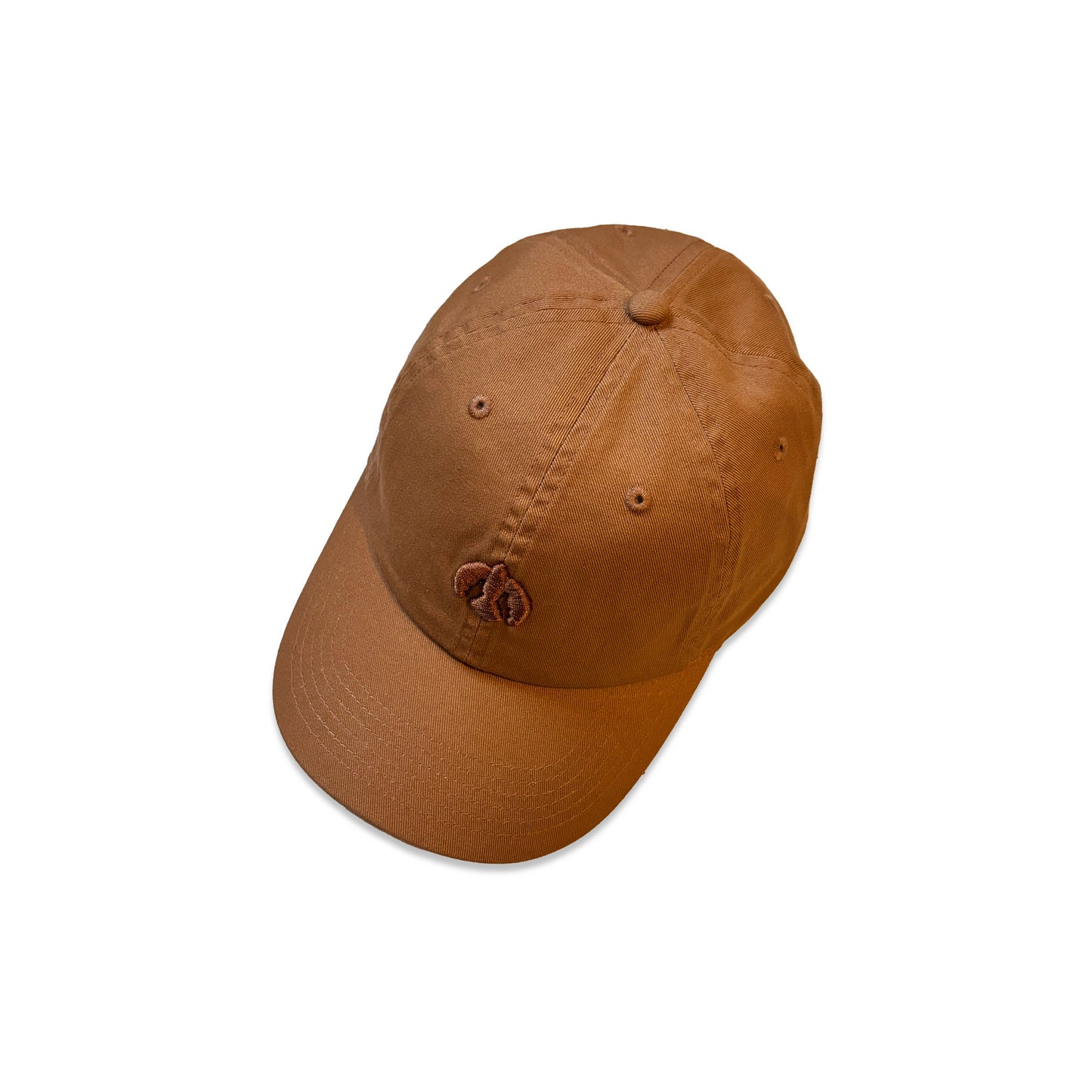Cap 2 / CAMEL