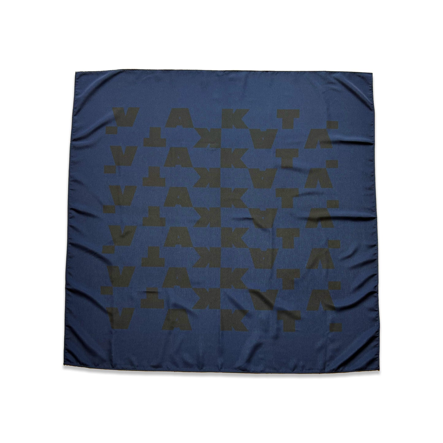 Logo big / NAVY
