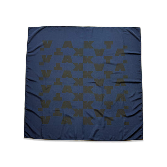 Logo big / NAVY